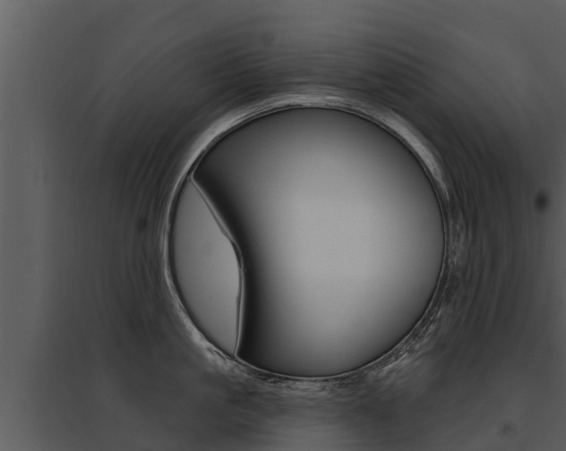X0000095680861200801081101