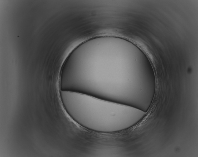 X0000095680863200801081101