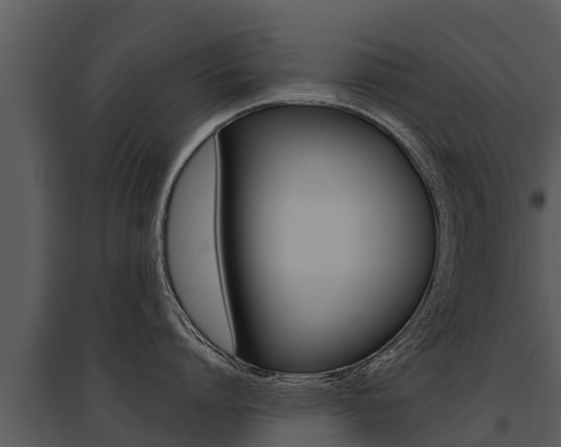 X0000095680864200801081101