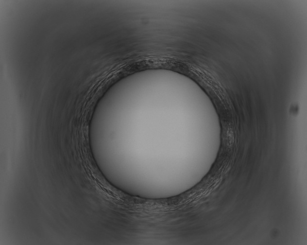X0000095680865200801081100