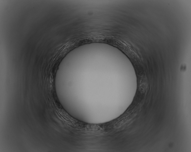 X0000095680866200801081100