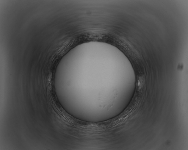 X0000095680867200801081100