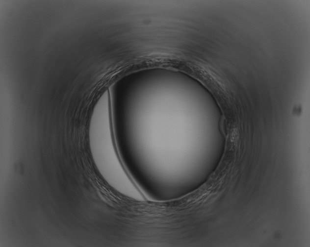 X0000095680868200801081100