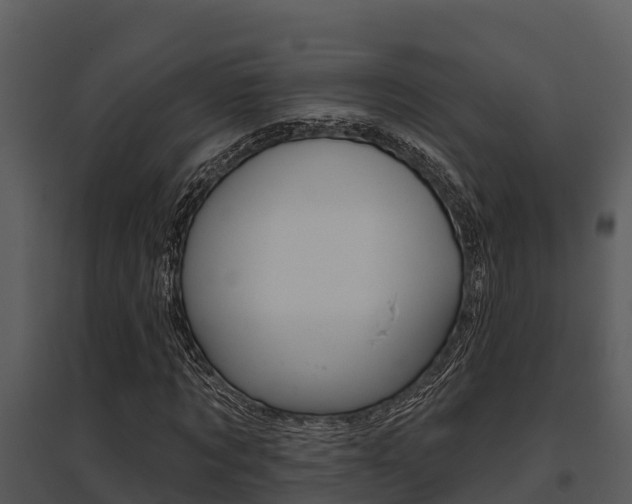 X0000095680869200801081100
