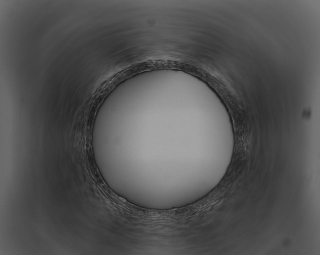 X0000095680870200801081100