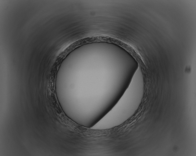 X0000095680871200801081100