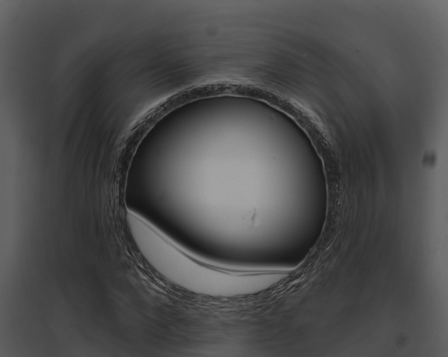X0000095680872200801081100