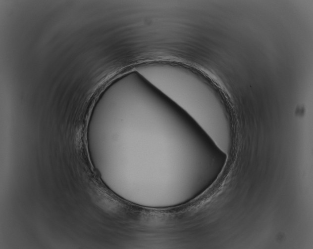 X0000095680873200801081100