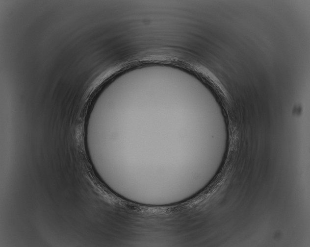 X0000095680874200801081100