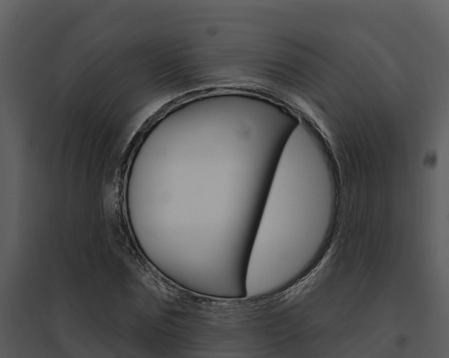 X0000095680875200801081100