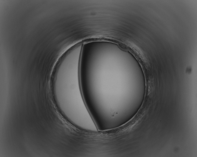 X0000095680876200801081100