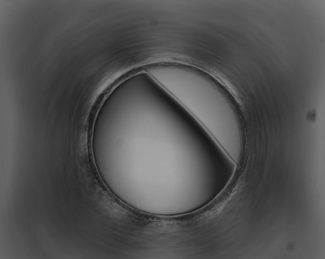 X0000095680877200801081100