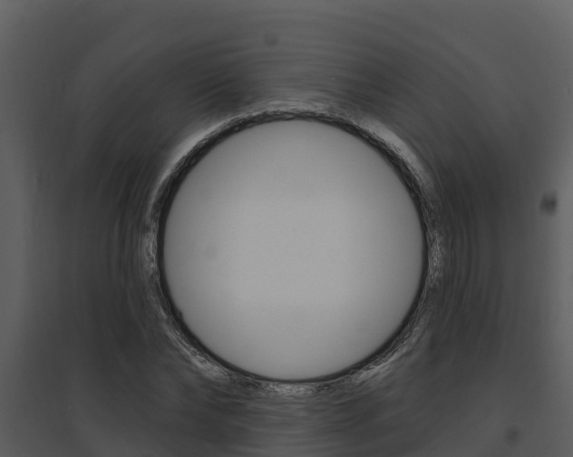 X0000095680878200801081100