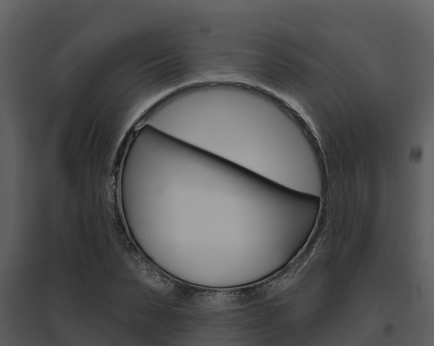 X0000095680879200801081100