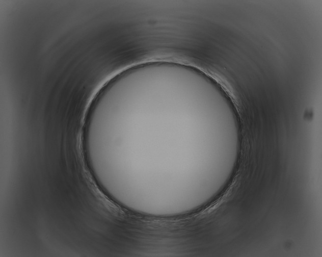 X0000095680880200801081100