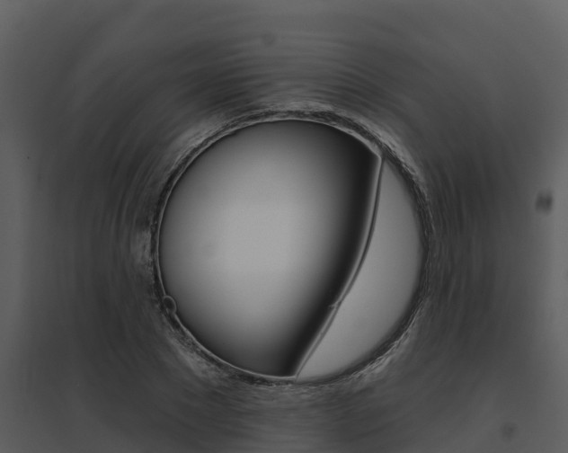 X0000095680881200801081100