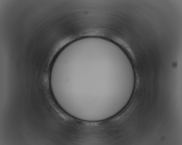 X0000095680882200801081100