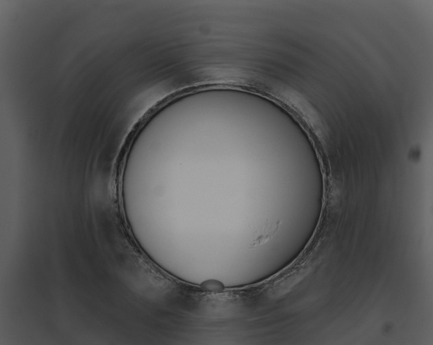 X0000095680883200801081100