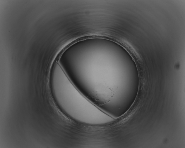 X0000095680884200801081100