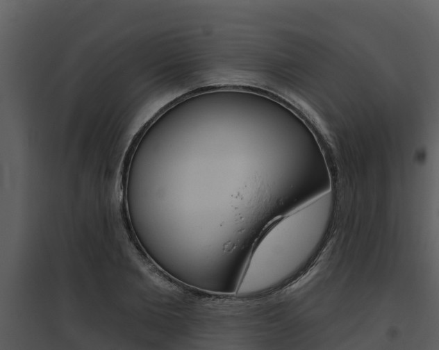 X0000095680885200801081100