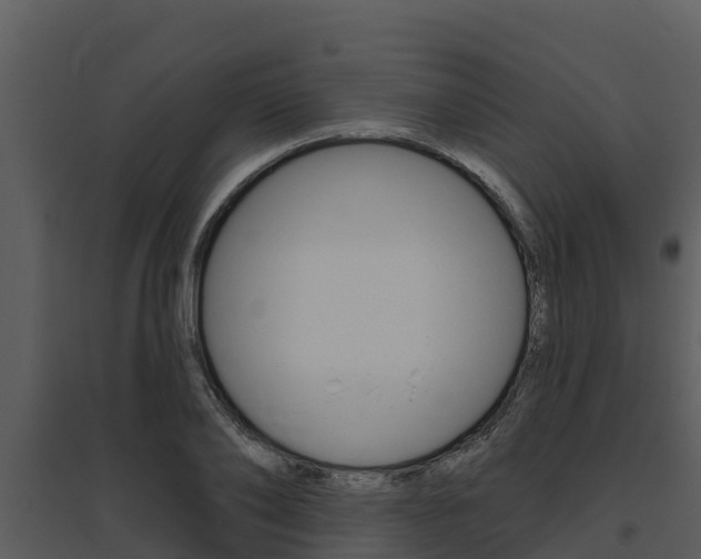 X0000095680886200801081100