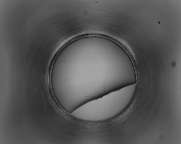 X0000095680887200801081100