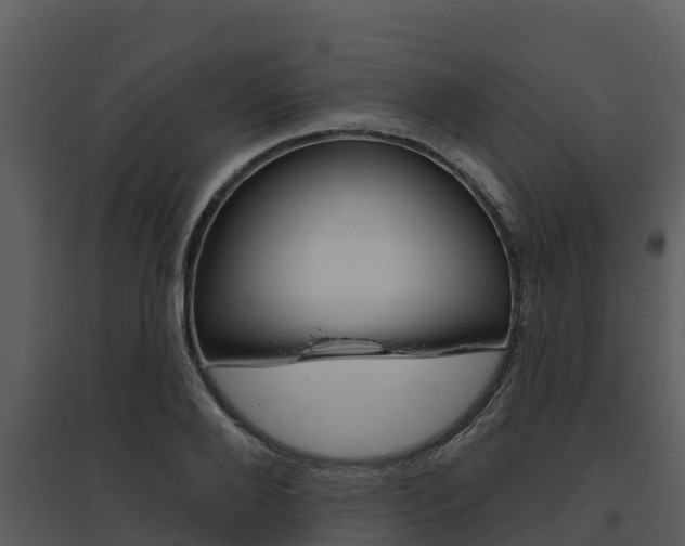 X0000095680888200801081100