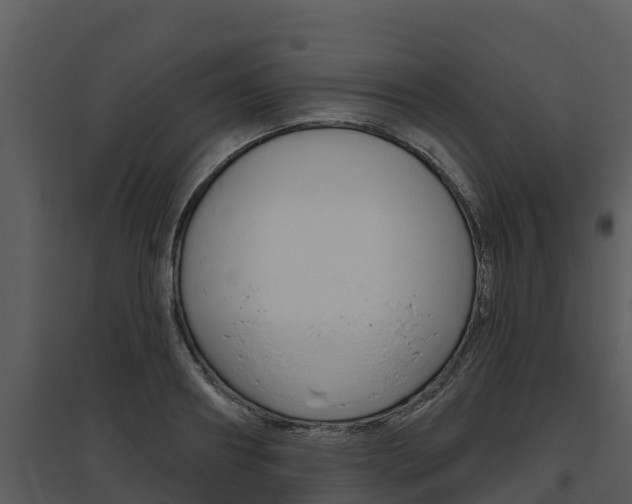 X0000095680890200801081100