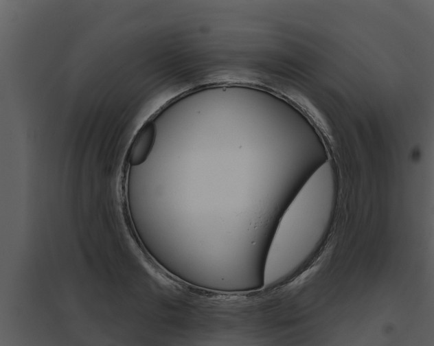 X0000095680893200801081100