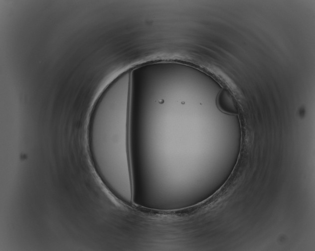 X0000095680894200801081100