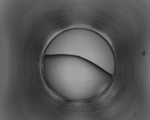 X0000095680895200801081100