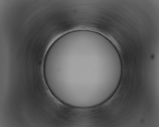 X0000095680896200801081100