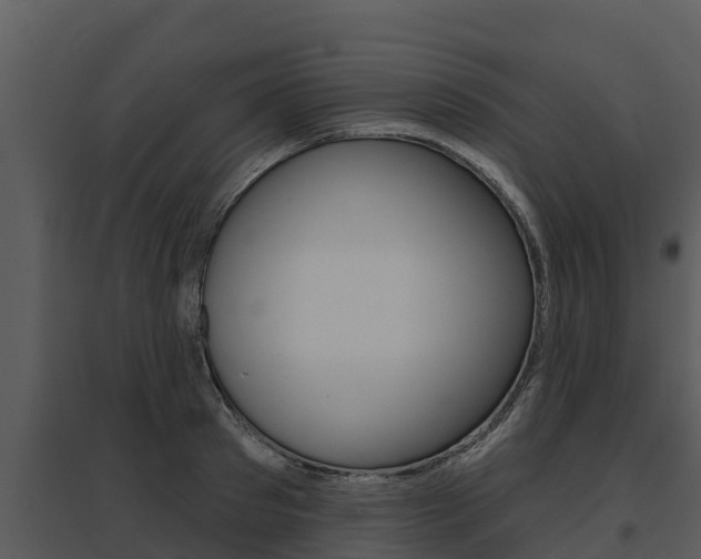X0000095680897200801081100