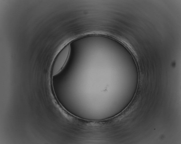 X0000095680898200801081100