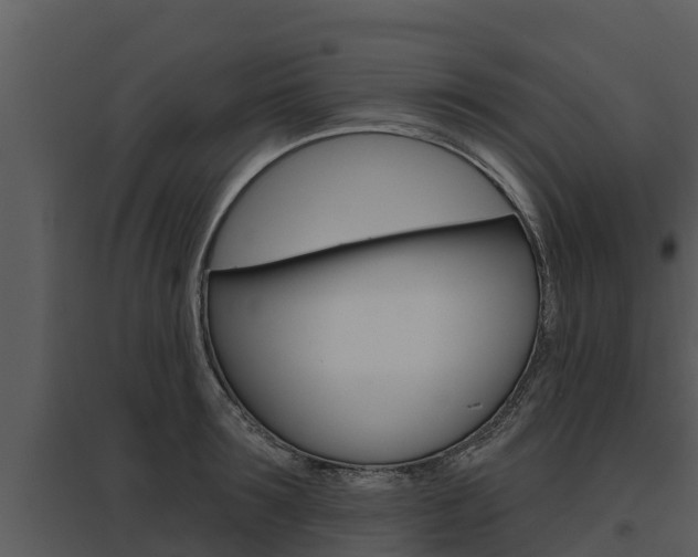 X0000095680899200801081100