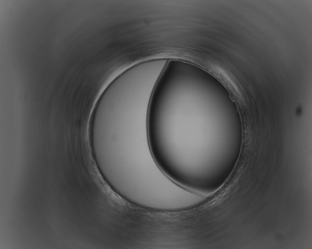 X0000095680900200801081100