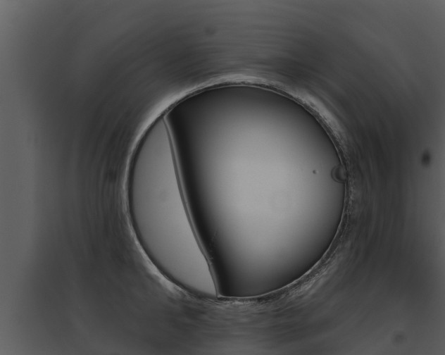 X0000095680902200801081100