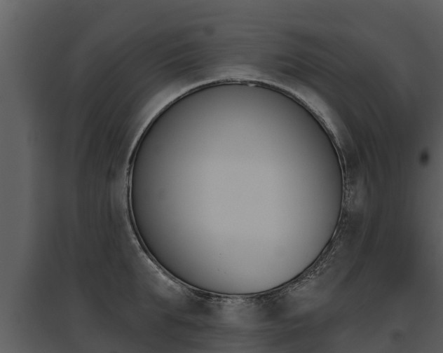 X0000095680903200801081100