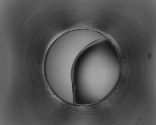 X0000095680904200801081100