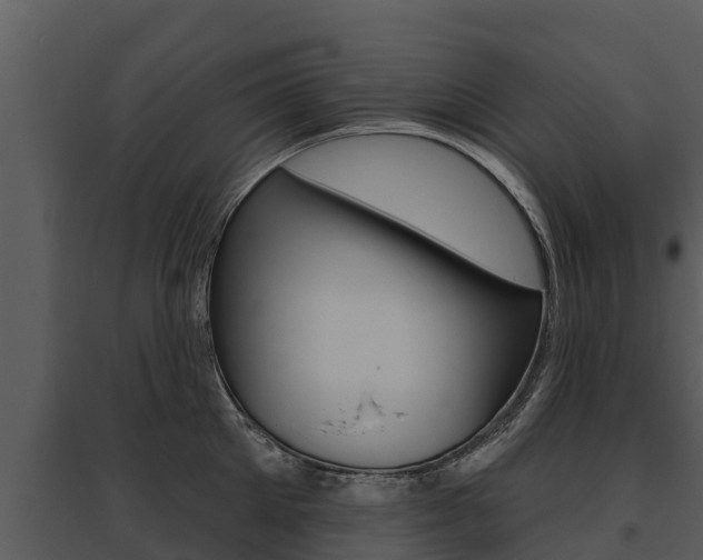 X0000095680905200801081100