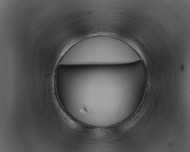 X0000095680906200801081100