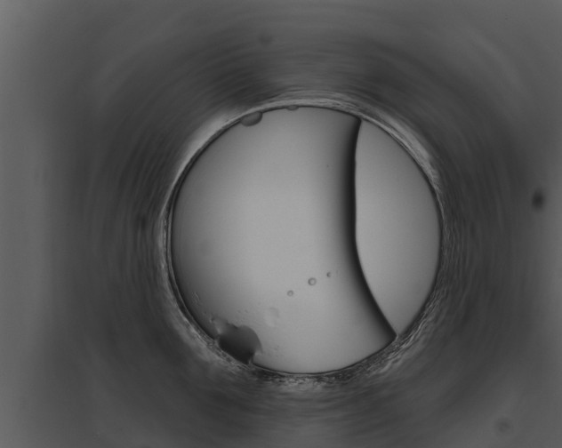 X0000095680907200801081100