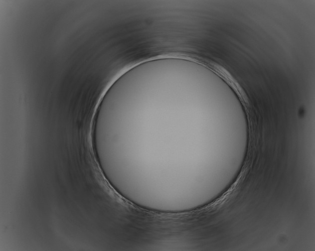 X0000095680908200801081100