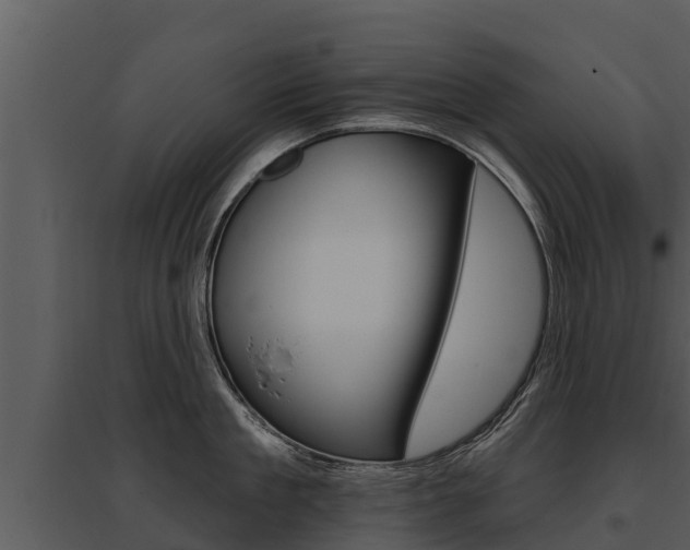 X0000095680909200801081100