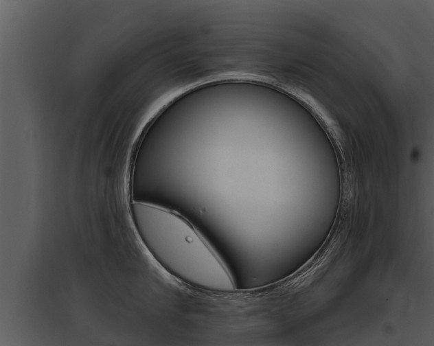 X0000095680910200801081100