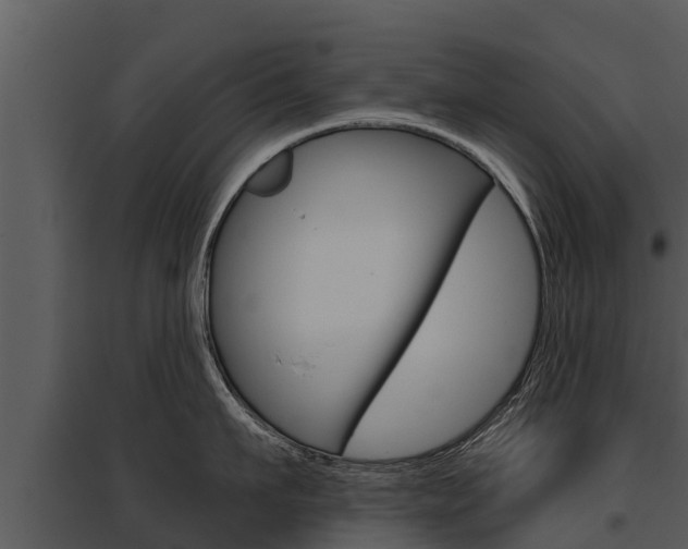 X0000095680911200801081100