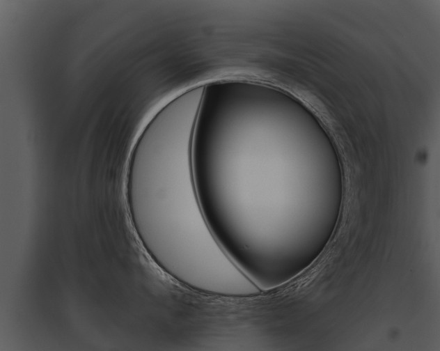 X0000095680912200801081100