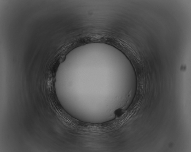 X0000095680914200801081059