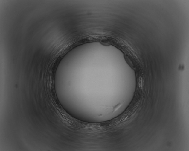 X0000095680915200801081059