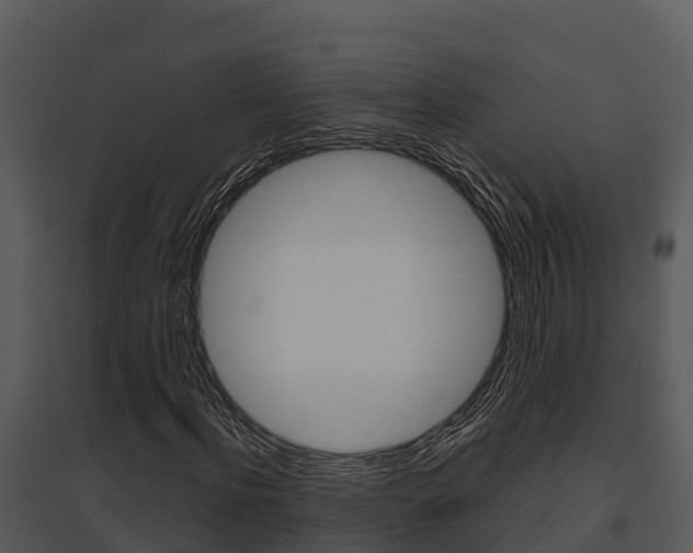 X0000095680916200801081059